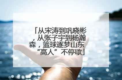 从宋涛到巩晓彬，从张子宇到杨瀚森，篮球逐梦山东“高人”不停歇