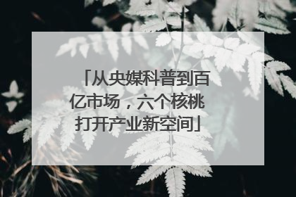 从央媒科普到百亿市场，六个核桃打开产业新空间