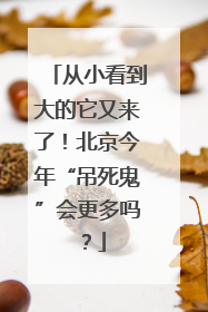 从小看到大的它又来了！北京今年“吊死鬼”会更多吗？
