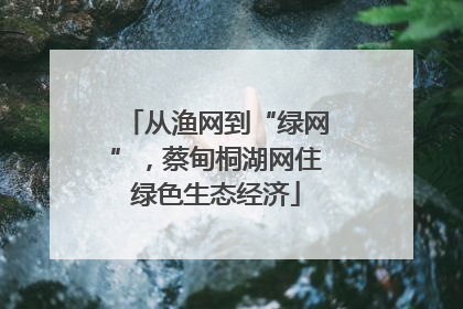 从渔网到“绿网”，蔡甸桐湖网住绿色生态经济