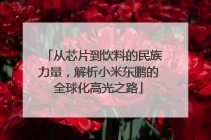从芯片到饮料的民族力量，解析小米东鹏的全球化高光之路