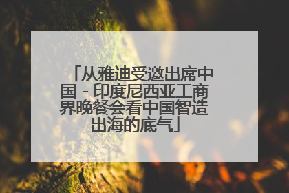 从雅迪受邀出席中国－印度尼西亚工商界晚餐会看中国智造出海的底气