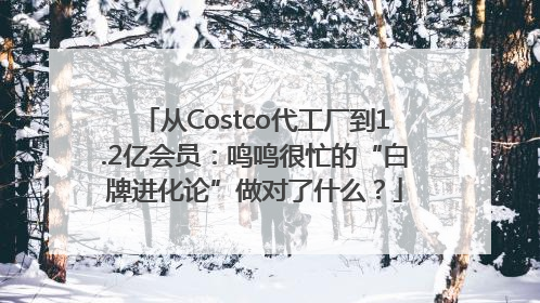 从Costco代工厂到1.2亿会员：鸣鸣很忙的“白牌进化论”做对了什么？