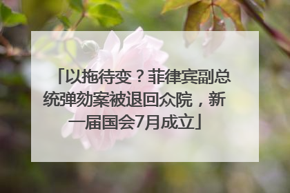 以拖待变？菲律宾副总统弹劾案被退回众院，新一届国会7月成立