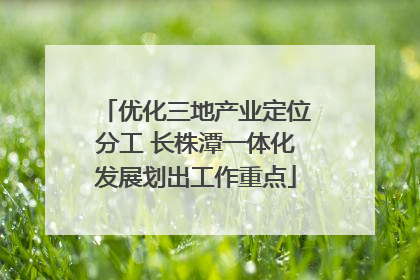 优化三地产业定位分工 长株潭一体化发展划出工作重点