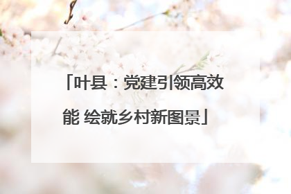 叶县：党建引领高效能 绘就乡村新图景