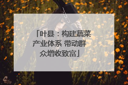 叶县：构建蔬菜产业体系 带动群众增收致富