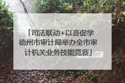 司法联动+以赛促学 德州市审计局举办全市审计机关业务技能竞赛
