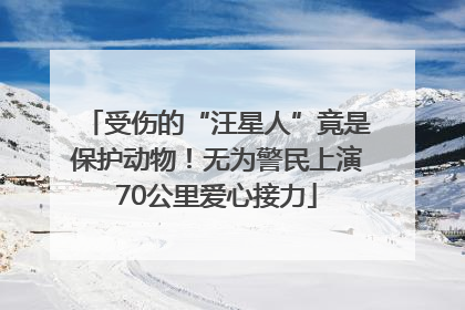 受伤的“汪星人”竟是保护动物！无为警民上演70公里爱心接力