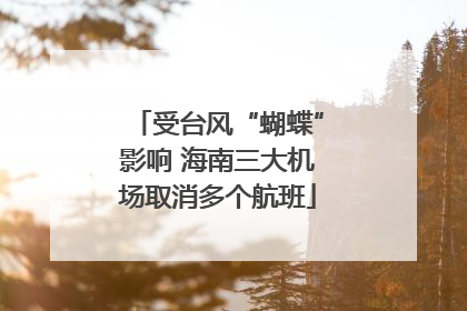 受台风“蝴蝶”影响 海南三大机场取消多个航班