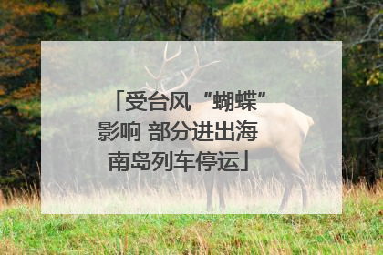 受台风“蝴蝶”影响 部分进出海南岛列车停运