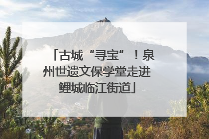 古城“寻宝”！泉州世遗文保学堂走进鲤城临江街道