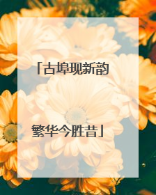 古埠现新韵 繁华今胜昔