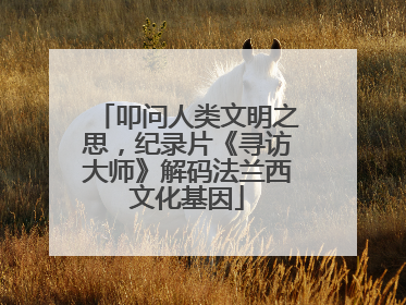 叩问人类文明之思，纪录片《寻访大师》解码法兰西文化基因