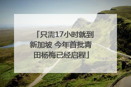 只需17小时就到新加坡 今年首批青田杨梅已经启程