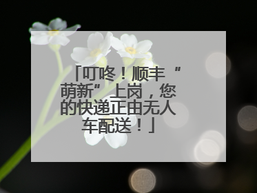 叮咚！顺丰“萌新”上岗，您的快递正由无人车配送！