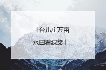 台儿庄万亩水田着绿裳