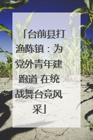 台前县打渔陈镇：为党外青年建跑道 在统战舞台竞风采