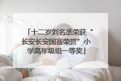 十二岁刘名丞荣获“长安长安国赛荣誉”小学高年级组一等奖