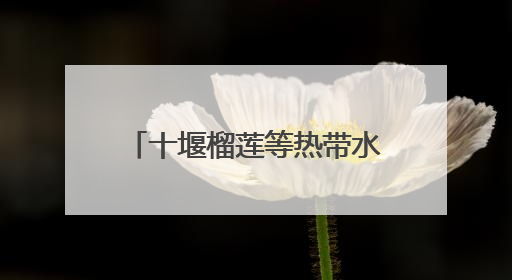 十堰榴莲等热带水果价格持续走低！商家：预计还能再降