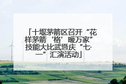 十堰茅箭区召开“花样茅箭‘格’暖万家”技能大比武暨庆“七·一”汇演活动