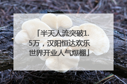 半天人流突破1.5万，汉阳恒达欢乐世界开业人气爆棚