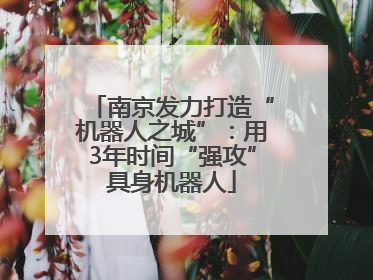 南京发力打造“机器人之城”：用3年时间“强攻”具身机器人