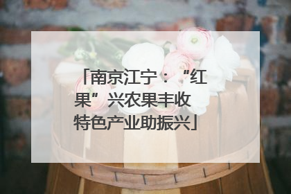 南京江宁：“红果”兴农果丰收 特色产业助振兴