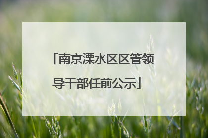南京溧水区区管领导干部任前公示
