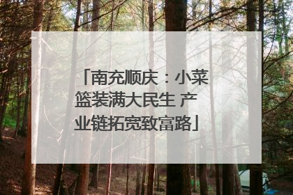 南充顺庆：小菜篮装满大民生 产业链拓宽致富路