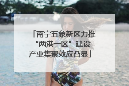 南宁五象新区力推“两港一区”建设 产业集聚效应凸显