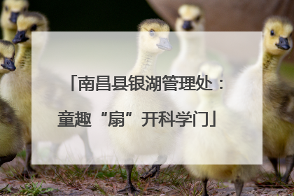 南昌县银湖管理处：童趣“扇”开科学门