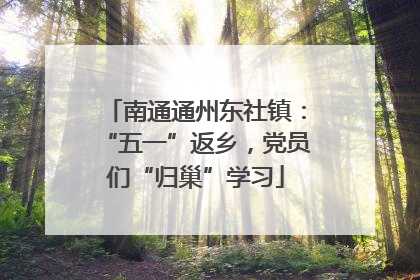 南通通州东社镇：“五一”返乡，党员们“归巢”学习