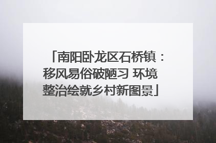 南阳卧龙区石桥镇：移风易俗破陋习 环境整治绘就乡村新图景