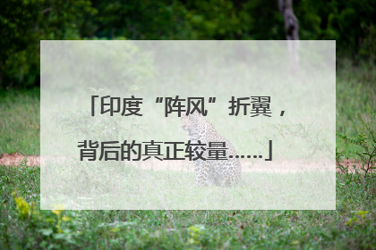印度“阵风”折翼，背后的真正较量……