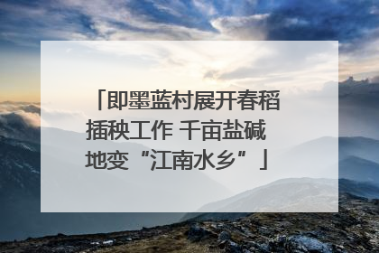 即墨蓝村展开春稻插秧工作 千亩盐碱地变“江南水乡”