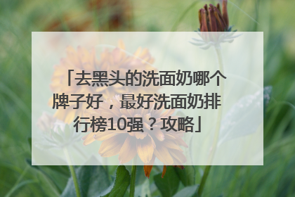 去黑头的洗面奶哪个牌子好，最好洗面奶排行榜10强？攻略