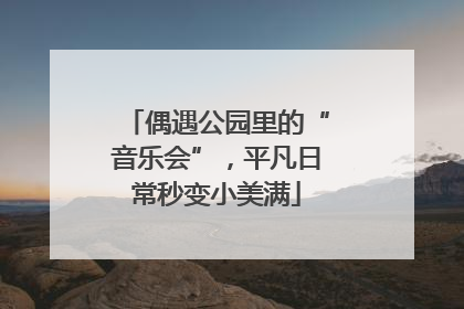 偶遇公园里的“音乐会”，平凡日常秒变小美满