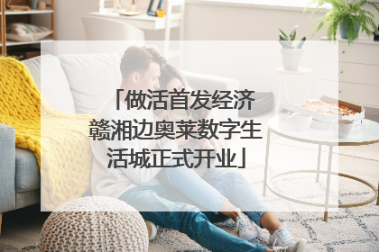 做活首发经济 赣湘边奥莱数字生活城正式开业