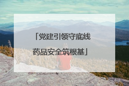 党建引领守底线 药品安全筑根基