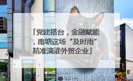 党建搭台，金融赋能，南塘这场“及时雨”精准滴灌外贸企业