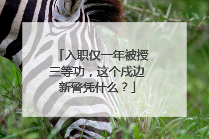 入职仅一年被授三等功，这个戍边新警凭什么？