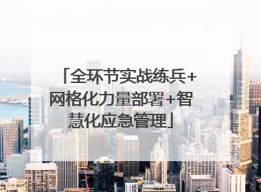 全环节实战练兵+网格化力量部署+智慧化应急管理