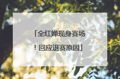 全红婵现身赛场！回应退赛原因