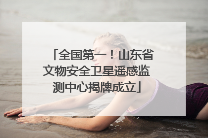 全国第一！山东省文物安全卫星遥感监测中心揭牌成立