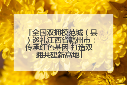 全国双拥模范城（县）巡礼江西省赣州市：传承红色基因 打造双拥共建新高地