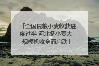 全国夏粮小麦收获进度过半 河北冬小麦大规模机收全面启动