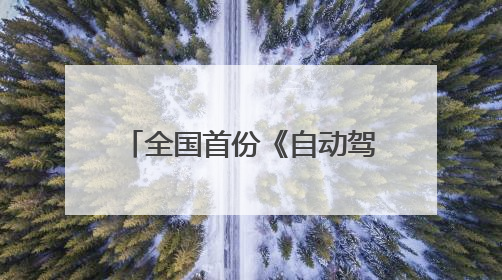 全国首份《自动驾驶公交“车路云一体化”系统联调导则》白皮书发布
