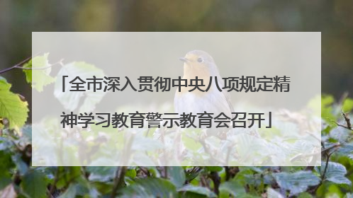 全市深入贯彻中央八项规定精神学习教育警示教育会召开