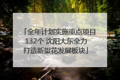 全年计划实施重点项目132个 沈阳大东全力打造新望花发展板块